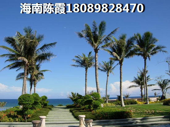 紫园买房首付