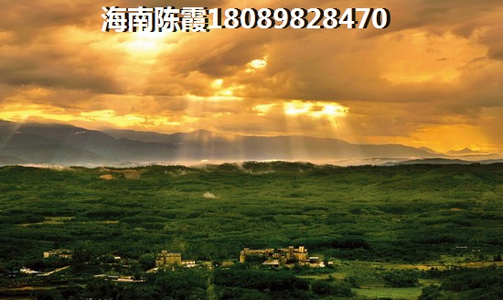 远东海岸VS滨海·幸福里分析对比