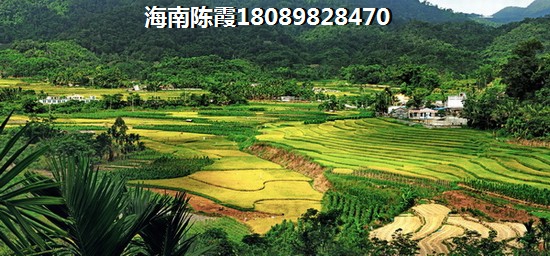 海南广粤锦泰·首座