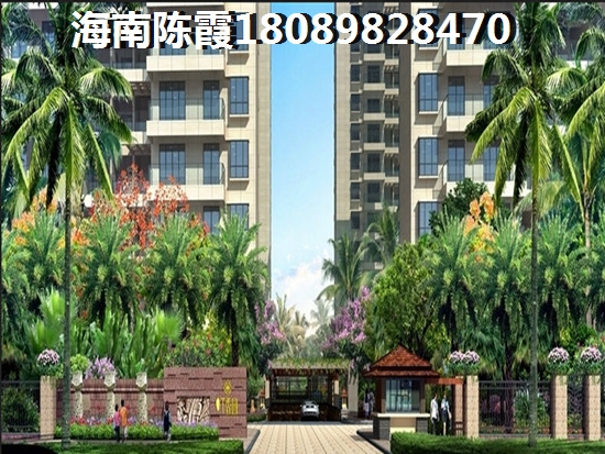 æ¸¯å²è±å­æ¸¯å²è±å­