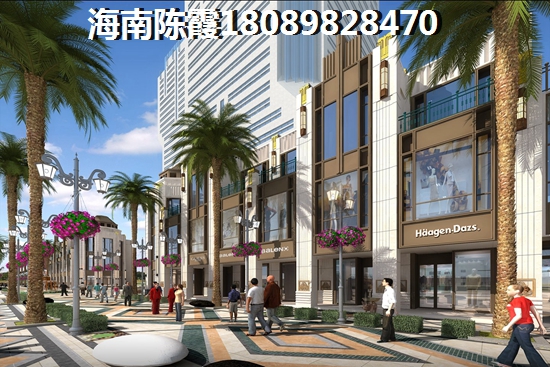 海南之心彼岸纸得touzi吗？