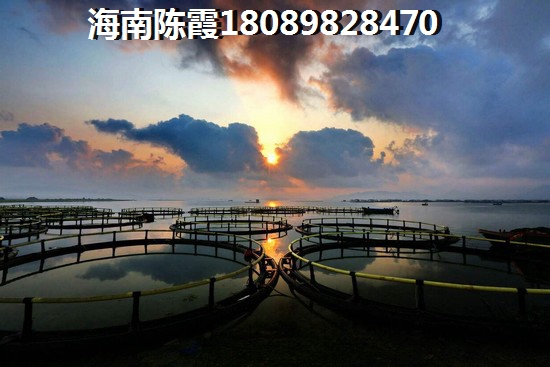 金地·海南自在城房价