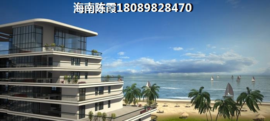 海南新天地房价