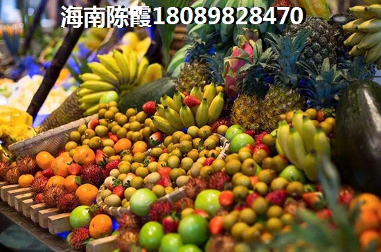 海口真的适合养老过冬吗