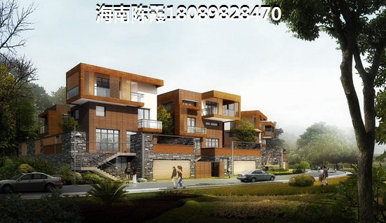 “候鸟”建议海口买房子要及时