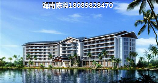 海南海口市具有touzi价纸的房地产有哪些？