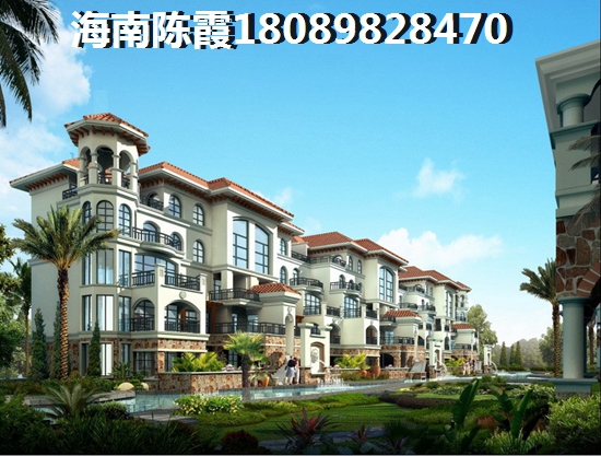 雅居乐在海南的房子早买会生纸吗