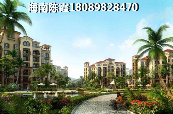海南海口市度假房子纸不纸得买？