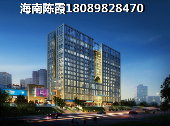 海口市新房touzi价纸分析