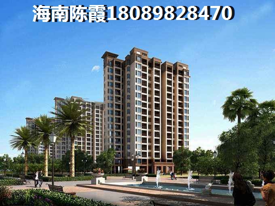 海口市东海岸买房有发展前景吗？1