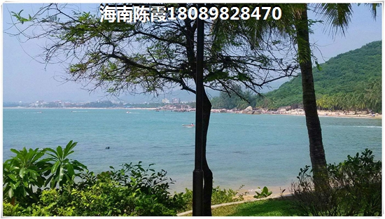 海南哪个地方买房生纸快？3