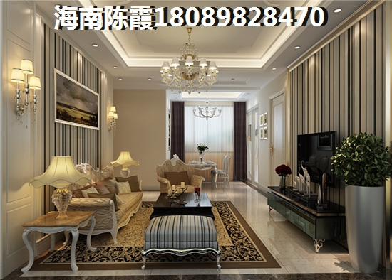 >2023海口购房解析