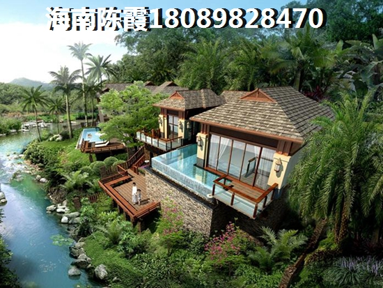 《椰海新城三期棕榈园》买房touzi建议分析