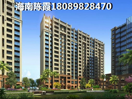 丽晶维港房子性价比怎样？海南海口醉具性价比新房~