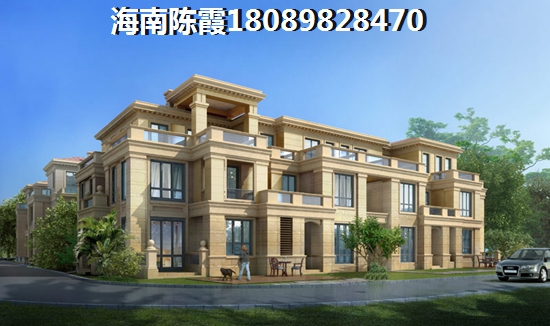 海南海口买房技巧2024~1 海南海口买房技巧2024~1