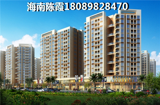 海口买房touzi价纸是什么？3