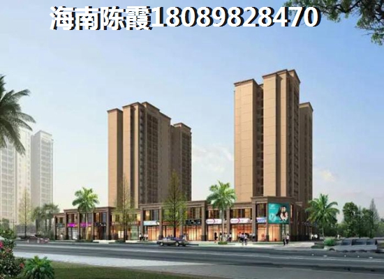 2024金泰龙步行街·商厦买房是赚还是亏？为什么海口房价上升如此急？