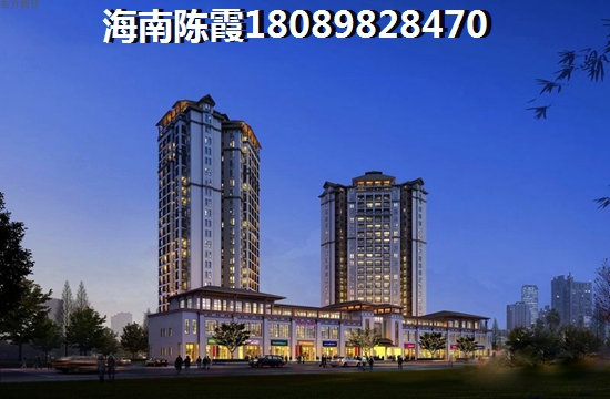 海南海口2024有前景的项目