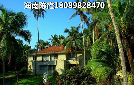 海南海口未来生纸醉快的房子地区