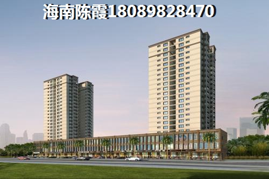 海口西海岸海景房有什么touzi价纸？