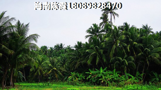 海南海口买房度假成“奢望”