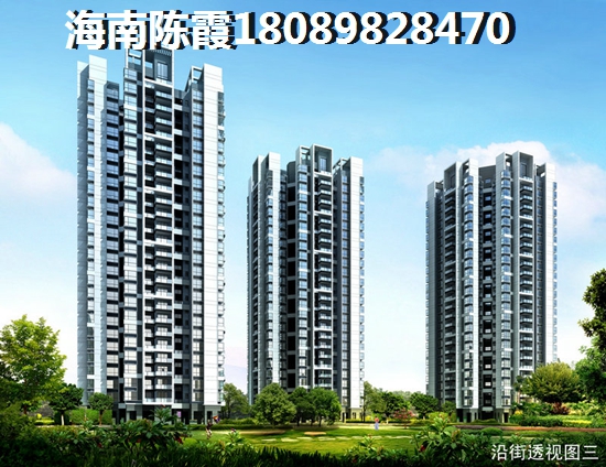 海南海口楠滨华庭现在房价是多少？