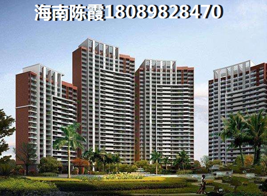 为什么业主看好海口市前景? 为什么业主看好海口市前景?